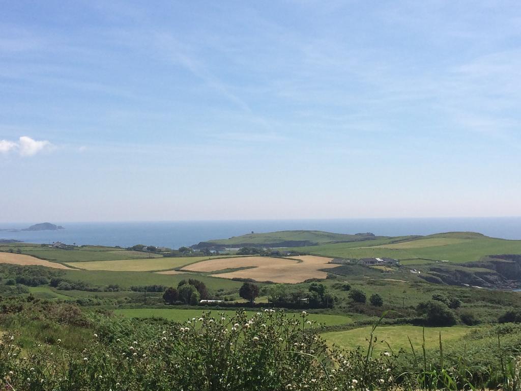 Sandycove House Bed & Breakfast Bed & Breakfast Castlehaven Екстериор снимка